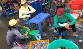 Theo các chuyên gia kinh tế, mức điều chỉnh thuế thu nhập cá nhân mới chưa đi kịp thực tế đời sống, cần giảm thêm để tránh vắt kiệt sức người nộp