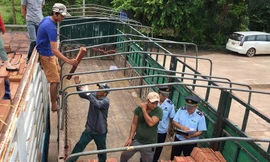 Từ tháng 7/2020, người nộp thuế còn nợ thuế sẽ bị hoãn xuất cảnh