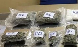 Tang vật liên quan bị lực lượng hải quan thu giữ