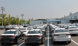 Ảnh minh họa. Nguồn: Tuấn Nguyễn