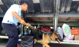 Lực lượng chống buôn lậu của Hải quan kiểm tra hàng hóa, hành lý xuất nhập cảnh. Ảnh minh họa của: Tuấn Nguyễn