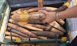 Tổng cục Hải quan được trao tặng nhiều Huân chương Chiến công