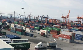 Ảnh minh họa của: Tuấn Nguyễn