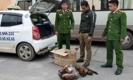 Đối tượng Miên cùng tang vật liên quan bị thu giữ