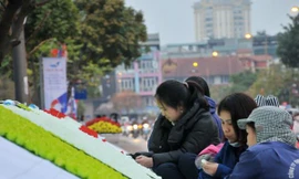 Hàng chục người 'dệt' cờ Mỹ - Triều Tiên bằng ngàn bông hoa