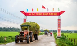 Ảnh minh họa. Nguồn: Internet