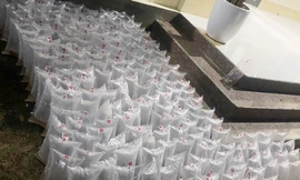 Bàn giao hồ sơ vụ buôn lậu tôm giống có sự liên quan cựu trạm trưởng biên phòng cho quân đội