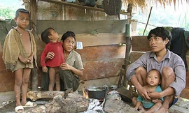 Ảnh minh họa. Nguồn: Internet