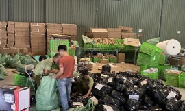 Lực lượng Quản lý thị trường kiểm tra kho hàng của Cty TNHH MTV chuyển phát nhanh Thuận Phong, chi nhánh Hà Nội, nằm trong Cảng ICD Mỹ Đình