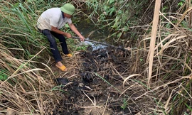 Trạm trộn ‘vô chủ’ ở Đắk Nông gây ô nhiễm môi trường