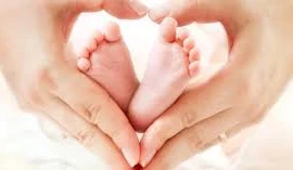 Ảnh minh họa. Nguồn: Internet