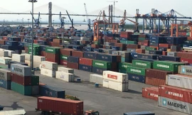 Ảnh minh họa của: Tuấn Nguyễn