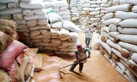 Ảnh minh họa. Nguồn: Internet