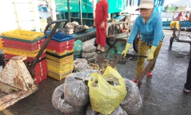 Dịch Covid-19 đang ảnh hưởng tới mọi mặt đời sống xã hội, kinh tế. Ảnh minh họa của: Tuấn Nguyễn