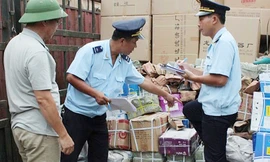 Hải quan kiểm tra thực tế hàng hóa doanh nghiệp xuất nhập khẩu. Ảnh minh họa