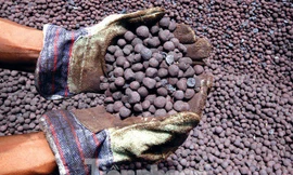 Đến nay, vẫn còn 8/13 doanh nghiệp nợ hơn 200 tỷ đồng tiền thuế xuất khẩu quặng sắt tại địa bàn Lào Cai