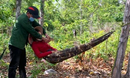 Lý lịch bất hảo của ba can phạm hợp sức đào tường nhà tạm giữ 