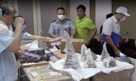 Tang vật sừng nghi tê giác bị lực lượng chức năng thu giữ