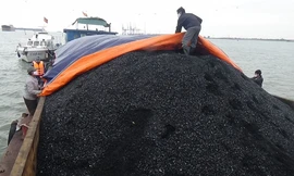 Ảnh minh họa. Nguồn: Internet