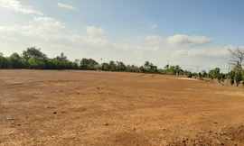 Nhiều khu vực đất nông nghiệp tại Gia Lai bị xé lẻ để tách thửa