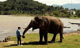 Clip đoạt giải nhất cuộc thi giới thiệu về cà phê Buôn Ma Thuột có gì đặc biệt?