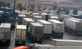 Làm rõ vụ 213 container mất tích, báo cáo Thủ tướng trước ngày 1/12