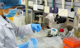 Ảnh minh họa. Nguồn: Internet