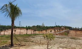 Ngang nhiên hủy hoại đất nông nghiệp, gây náo động vùng quê