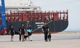 Tổng cục Hải quan thông báo tuyển dụng công chức năm 2023 theo Nghị định số 140/2017/NĐ-CP