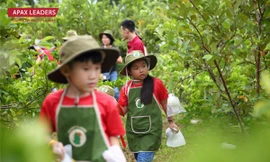 Apax Leaders ra mắt khóa hè Summer Camp 2022 kiểu mới