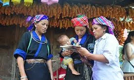 Ảnh minh họa. Nguồn: Internet