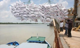 Từ 1/5, gạo được xuất khẩu trở lại bình thường, không chịu hạn ngạch. Ảnh minh họa, nguồn: Internet