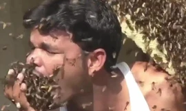 Người đàn ông thoải mái chơi đùa, thậm chí nhét hàng trăm con ong vào miệng