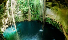 Bơi lội trong giếng thiêng của người Maya cổ đại