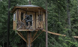 8 ngôi nhà cây độc đáo nhất thế giới