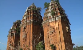 Tháp Chăm cổ cao nhất Việt Nam ở Bình Định