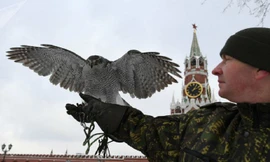 Biệt đội chim săn mồi tuần tra quanh Điện Kremlin
