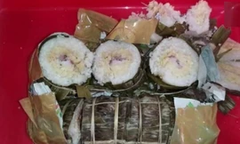 Mang 2 cái bánh tét tới Đài Loan, du khách Việt bị phạt 150 triệu đồng