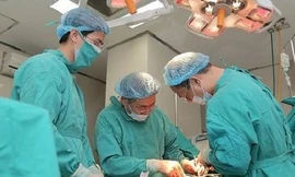 Táo rơi vào đầu, bé 3 tháng tuổi sống thực vật