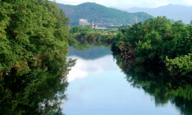 5 km nước sông Vinh chuyển màu đen