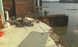 VIDEO: Bốn căn nhà ở Long An sụp xuống sông