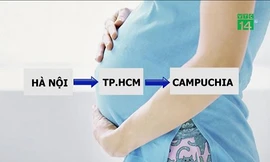 Hãi hùng dịch vụ mang thai hộ, bán thận tràn lan mạng xã hội