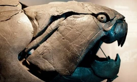 Quái ngư tiền sử nặng 3 tấn có hàm răng sắc như máy chém