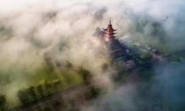 Sương giăng mờ ảo trên Biển Hồ chè ở Gia Lai