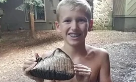 Bé trai 12 tuổi tìm thấy răng voi ma mút hóa thạch 10.000 năm