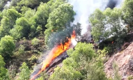 Người dân đốt vàng mã gây cháy rừng ở Nghệ An