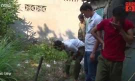 Ngang nhiên trồng cả vườn cần sa trong nhà ở An Giang