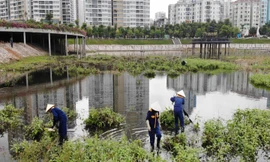 Công nhân dọn lòng hồ ô nhiễm trong công viên 300 tỷ ở Hà Nội