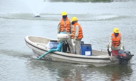 Khảo sát nước hồ Ba Mẫu sau 3 năm làm sạch bằng công nghệ Đức