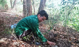 Thực hư 9 hũ sành chứa 300 xác thai nhi ở Cà Mau